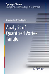 Analysis of Quantised Vortex Tangle