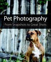 Pet Photography