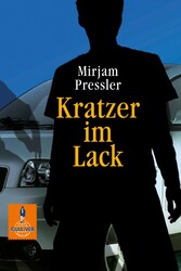 Kratzer im Lack