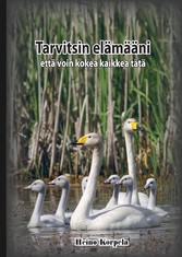 Tarvitsin elämääni