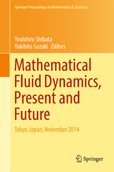 Mathematical Fluid Dynamics, Present and Future