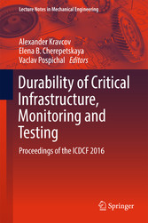 Durability of Critical Infrastructure, Monitoring and Testing