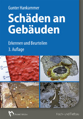 Schäden an Gebäuden - E-Book (PDF)