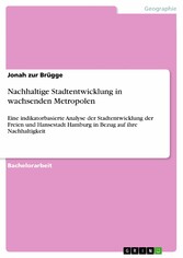 Nachhaltige Stadtentwicklung in wachsenden Metropolen