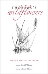 Thoreau's Wildflowers