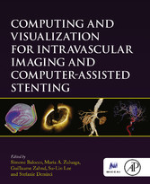 Computing and Visualization for Intravascular Imaging and Computer-Assisted Stenting