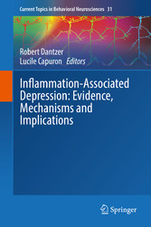 Inflammation-Associated Depression: Evidence, Mechanisms and Implications