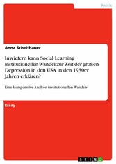 Inwiefern kann Social Learning institutionellen Wandel zur Zeit der großen Depression in den USA in den 1930er Jahren erklären?