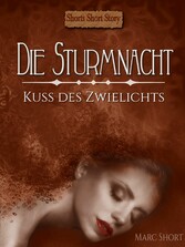 Die Sturmnacht