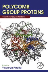 Polycomb Group Proteins