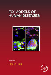 Fly Models of Human Diseases