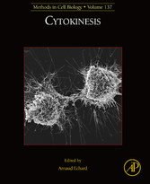 Cytokinesis