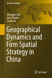 Geographical Dynamics and Firm Spatial Strategy in China