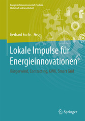 Lokale Impulse für Energieinnovationen