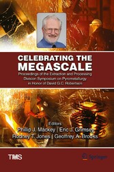 Celebrating the Megascale