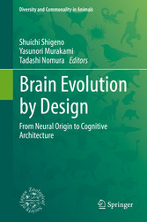 Brain Evolution by Design