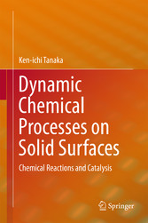 Dynamic Chemical Processes on Solid Surfaces