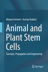 Animal and Plant Stem Cells