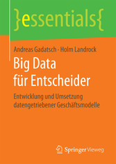 Big Data für Entscheider