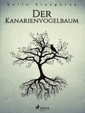 Der Kanarienvogelbaum