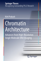 Chromatin Architecture