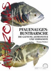 Pfauenaugenbuntbarsche