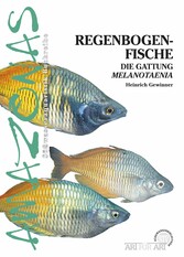 Regenbogenfische