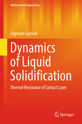 Dynamics of Liquid Solidification