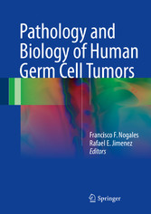 Pathology and Biology of Human Germ Cell Tumors