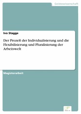 Der Prozeß der Individualisierung und die Flexibilisierung und Pluralisierung der Arbeitswelt