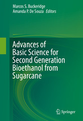 Advances of Basic Science for Second Generation Bioethanol from Sugarcane