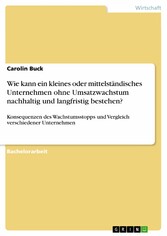 Wie kann ein kleines oder mittelständisches Unternehmen ohne Umsatzwachstum nachhaltig und langfristig bestehen?