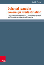 Debated Issues in Sovereign Predestination