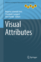 Visual Attributes