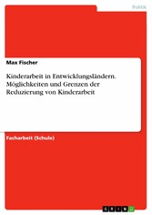 Kinderarbeit in Entwicklungsländern. Möglichkeiten und Grenzen der Reduzierung von Kinderarbeit