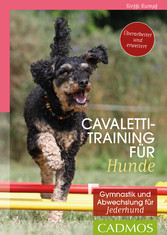 Cavalettitraining für Hunde