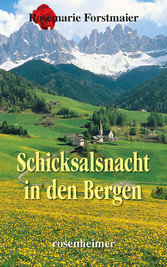 Schicksalsnacht in den Bergen