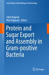 Protein and Sugar Export and Assembly in Gram-positive Bacteria