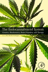 The Endocannabinoid System