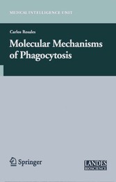 Molecular Mechanisms of Phagocytosis