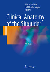 Clinical Anatomy of the Shoulder