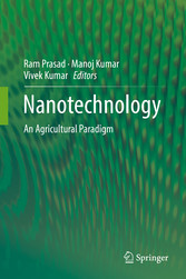 Nanotechnology