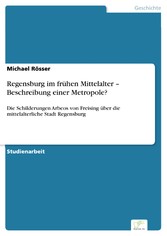 Regensburg im frühen Mittelalter - Beschreibung einer Metropole?