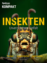 Spektrum Kompakt - Insekten