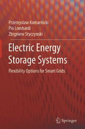 Electric Energy Storage Systems