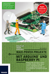 Maxi-Power-Projekte mit Arduino und Raspberry Pi