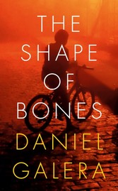 Shape of Bones