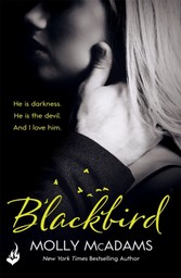 Blackbird: A Redemption Novel