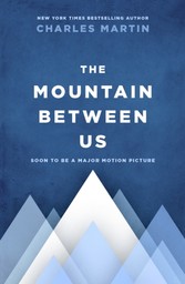 Mountain Between Us