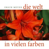 Die Welt in vielen Farben